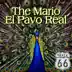 El pavo real - Single album cover