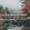 Cosy Rain song lyrics