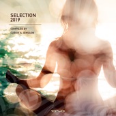 Selection 2019 (Compiled by Cubixx & Jensson) artwork