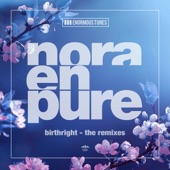 Birthright (The Remixes) artwork