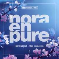 Nora En Pure - Birthright (The Remixes) artwork