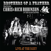 Brothers of a Feather: Live at the Roxy artwork