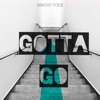 Gotta Go - Single