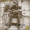 Walking Blues (feat. Keb' Mo') - Single