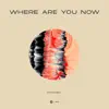 Stream & download Where Are You Now - Single