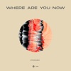 Where Are You Now - Single, 2019