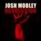 Voices In Your Head - Josh Mobley lyrics