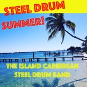 Steel Drum Summer! artwork