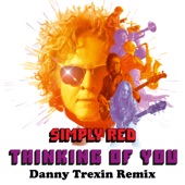 Thinking of You (Danny Trexin Remix) artwork