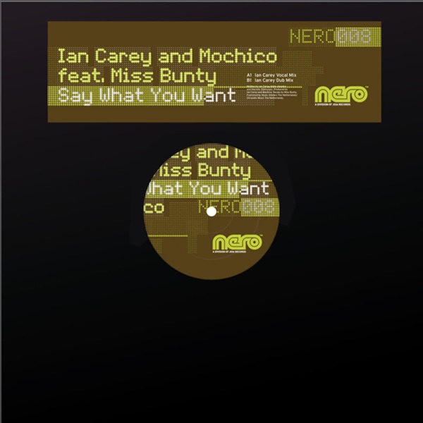 Say What You Want (feat. Miss Bunty) - EP - Ian Carey & Mochico