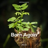 Born Again artwork