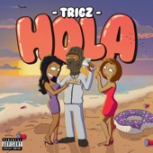 Hola artwork