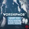Mary, Did You Know? / Love Song (Medley) - EP album lyrics, reviews, download