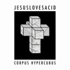 JESUSLOVESACID - Play With Your Mind