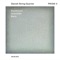 String Quartet No. 3: I. Andante - Danish String Quartet lyrics