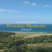 Worship Moments Instrumental - The Best of Edward Chen artwork