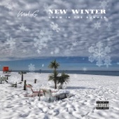 Snow in the Summer (New Winter) artwork