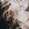 Leon Alex - Escalate (From "NieR: Automata Ver1.1a")