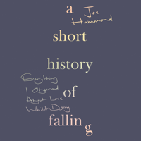 Joe Hammond - A Short History of Falling artwork