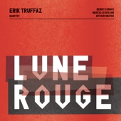 Erik Truffaz - Tiger in the Train