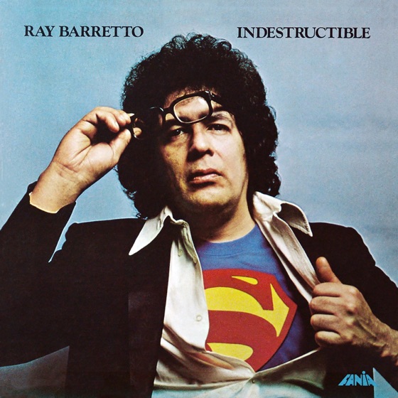 Cover artwork for Indestructible