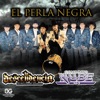 La Perla Negra (feat. Conjunto Nube) - Single