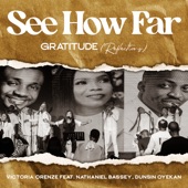 See How Far: Gratitude (Reflections) [feat. Nathaniel Bassey & Dunsin Oyekan] artwork