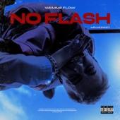 No Flash artwork