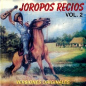 Joropos Recios, Vol. 2 artwork