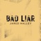 Bad Liar (Acapella Version) artwork