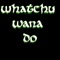 Watchu Wana Do (feat. DG X2) - D Ortiz lyrics