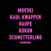 Raupe Kokon Schmetterling (feat. Kaul Kwappen) artwork