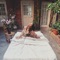 Waiting - Amber Mark lyrics