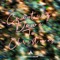 Counting Down to Christmas - Campsite Dream lyrics