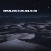 Rhythms of the Night artwork