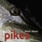 Seawash - Pikes lyrics