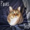 Paws (feat. Ezri) - Tro lyrics