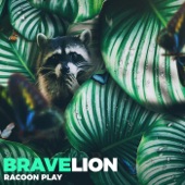 Racoon Play artwork