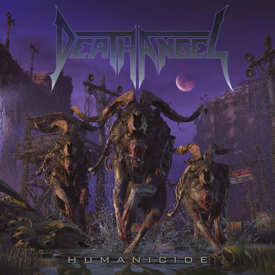 Cover artwork for Immortal Behated