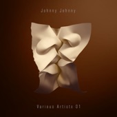 Johnny Johnny Various Artists 01 artwork