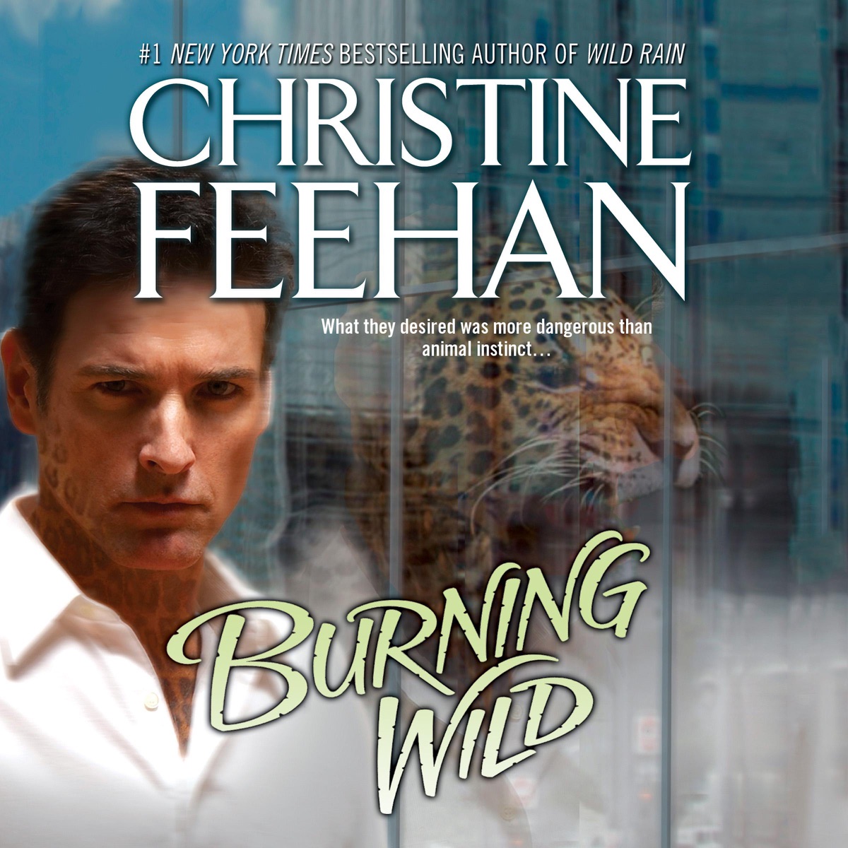 19+ Christine Feehan Leopard Series Pictures