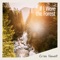 Connect with Joy - Criss Howell lyrics