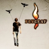Flyleaf artwork
