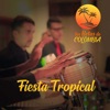 Fiesta Tropical, 2019