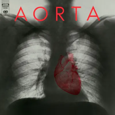 Aorta - Aorta Aorta - Aorta