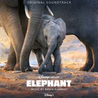 Ramin Djawadi - Elephant (Original Soundtrack) artwork