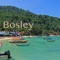 Bosley - Dave Bolle lyrics