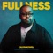Fullness (feat. Evan Wickham & Kevin Olusola) artwork