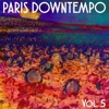 Paris Downtempo, Vol. 5