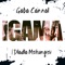 Igama (feat. Dladla Mshunqisi) - Gaba Cannal lyrics